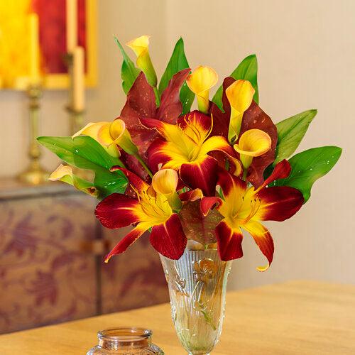 Hemerocallis - Rainbow Rhythm® Ruby Spider Daylily